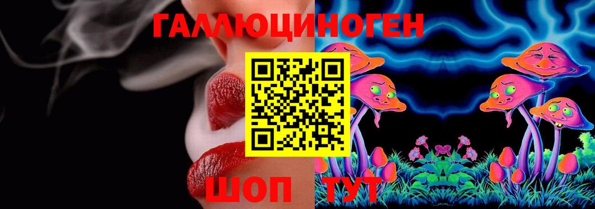 Псилоцибиновые грибы GOLDEN TEACHER  Псилоцибиновые грибы ЛСД  Черняховск  Вход с VPN 